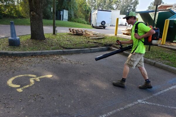 lawn care services